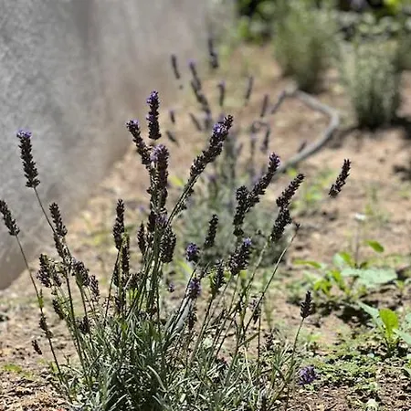 Nuit En Luberon Guest house Puyvert